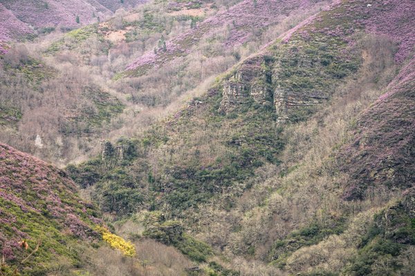 Comment créer un plan de succession en entreprise familiale ?