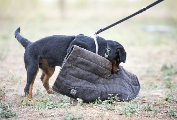 Assurance professionnelle : ce qu'il faut retenir pour un commerçant